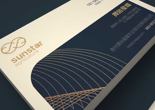 晟裕星耀企業形象設計 專業設計服務鑄就品牌卓越